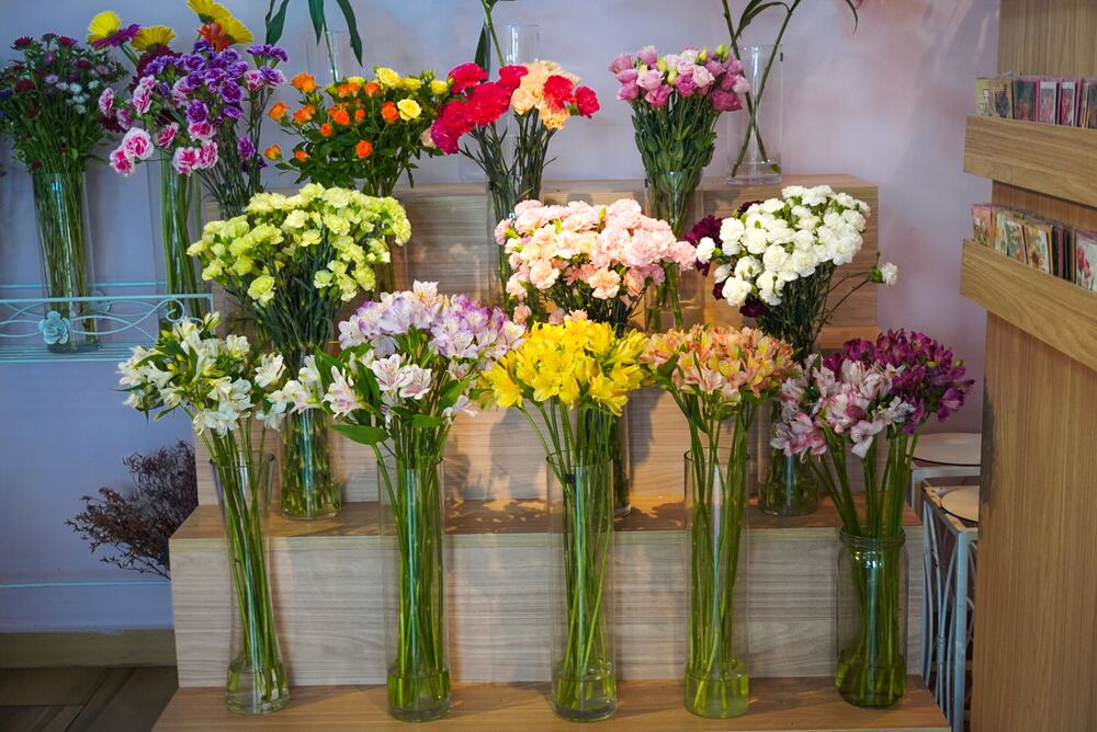 Buquê delicado de tulipas em tons pastel para presente